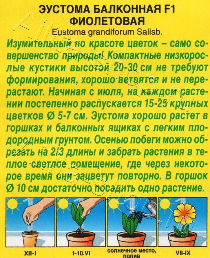 Эустома Балконная F1 фиолетовая 5шт