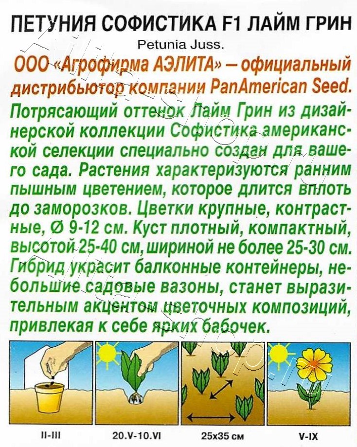 Петуния Софистика F1 лайм грин 4шт