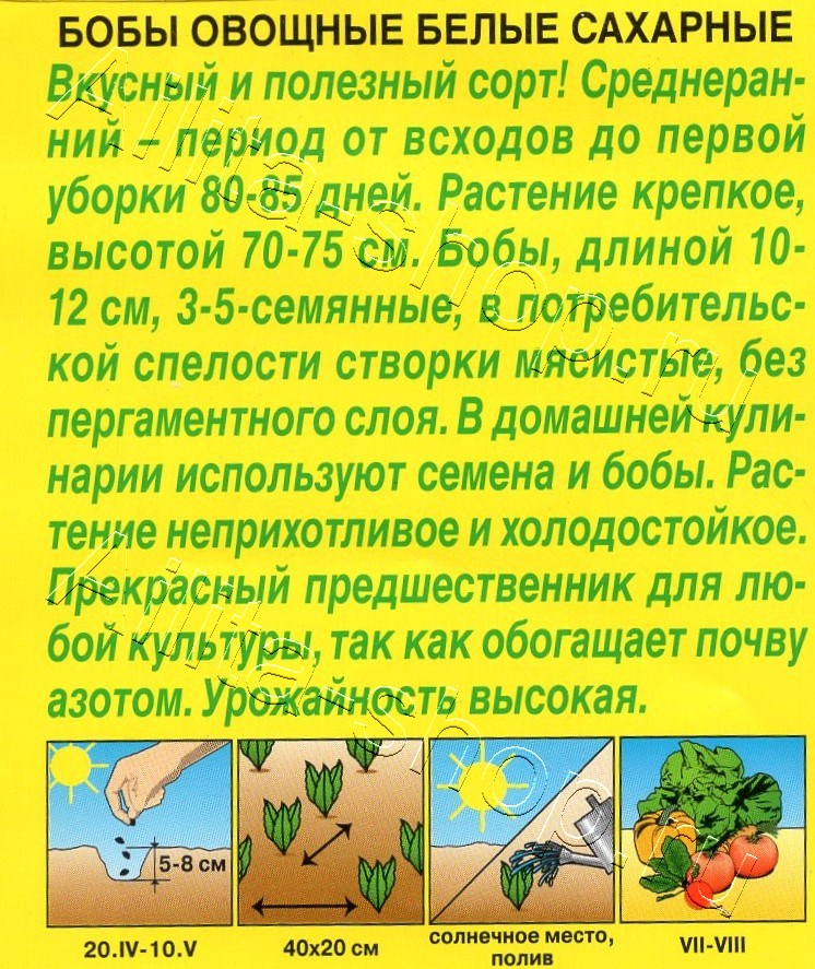 Бобы овощные Белые сахарные 5шт