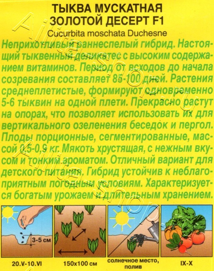 Тыква мускатная Золотой десерт F1 5шт