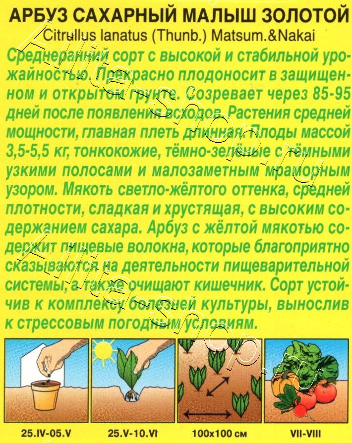 Арбуз Сахарный малыш золотой 1г