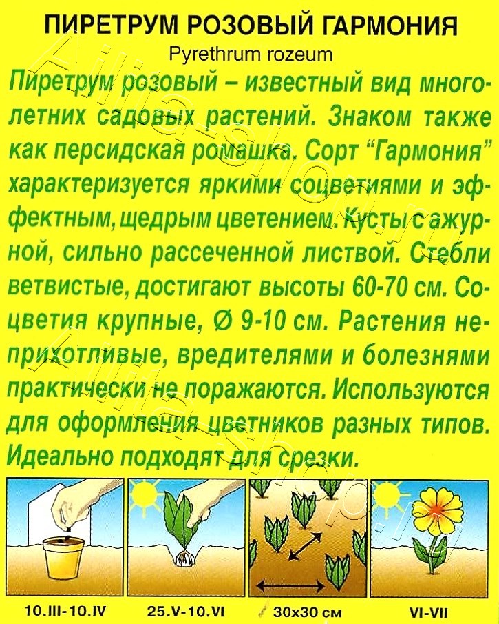 Пиретрум Гармония 0,2г