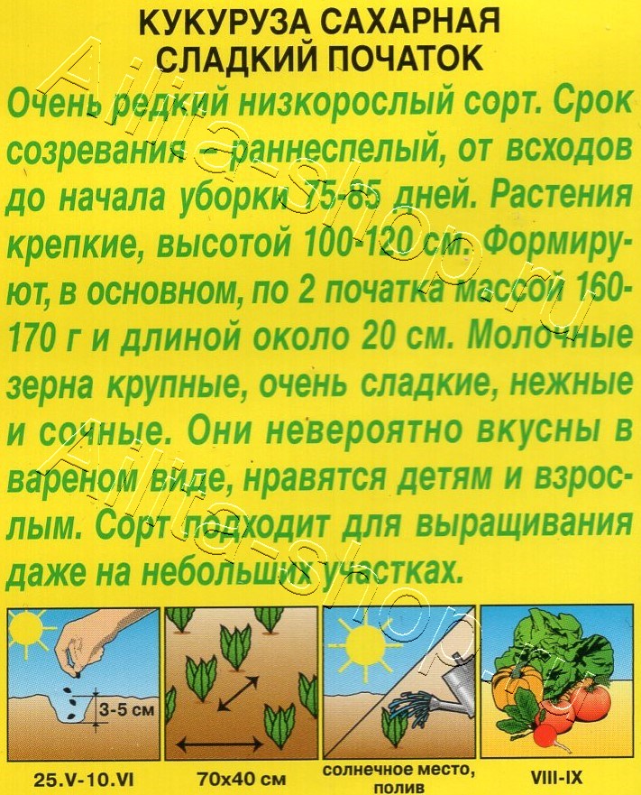 Кукуруза сахарная Сладкий початок 5г