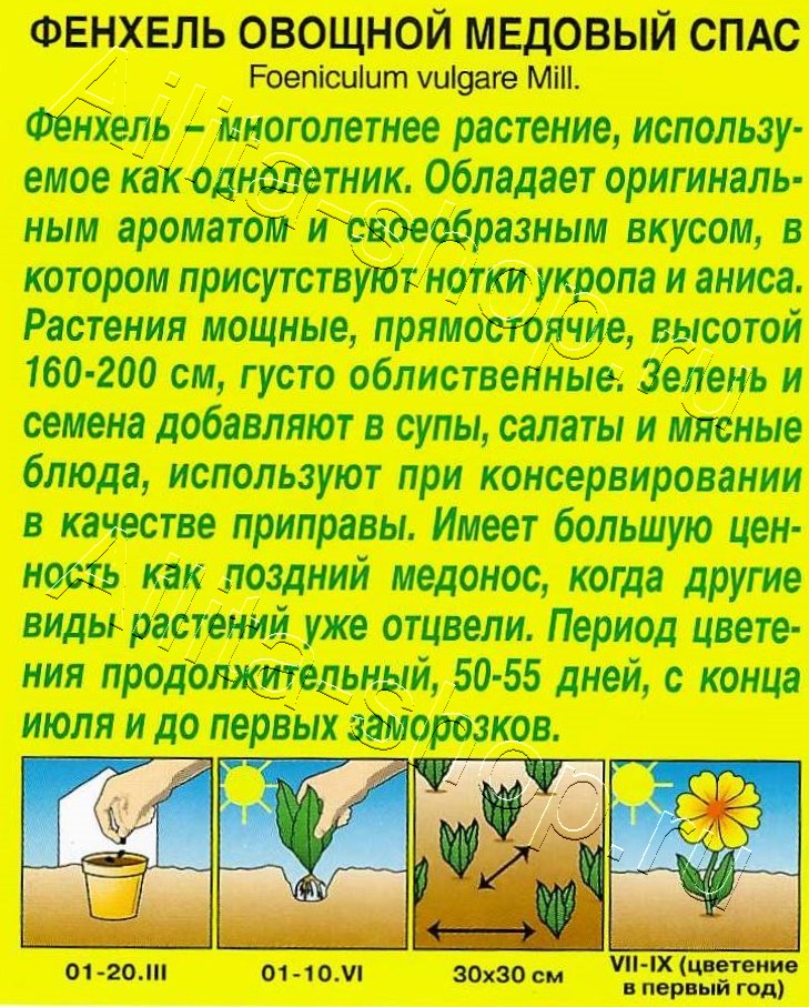 Фенхель овощной Медовый спас 0,3г