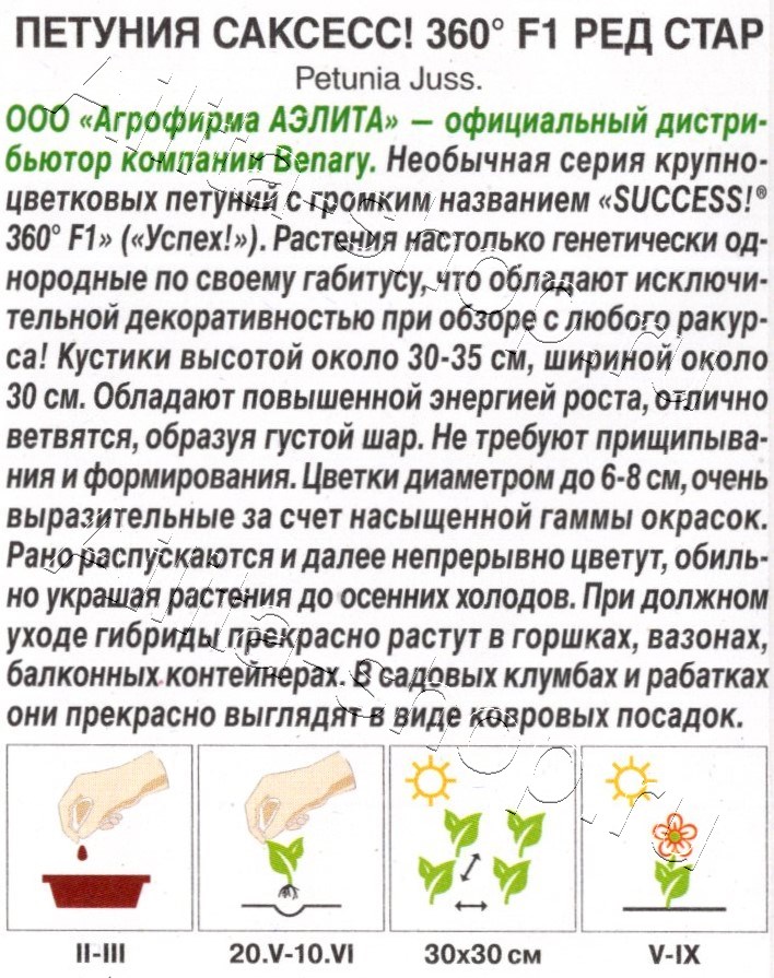 Петуния САКСЕСС! 360° F1 Ред Стар 7шт