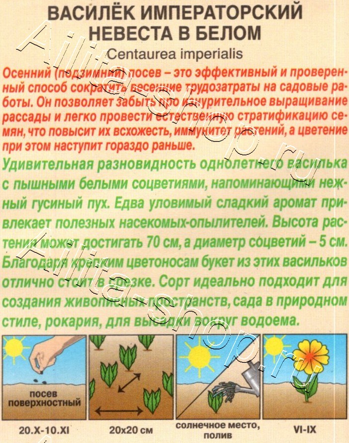Василек Невеста в белом 0,1г