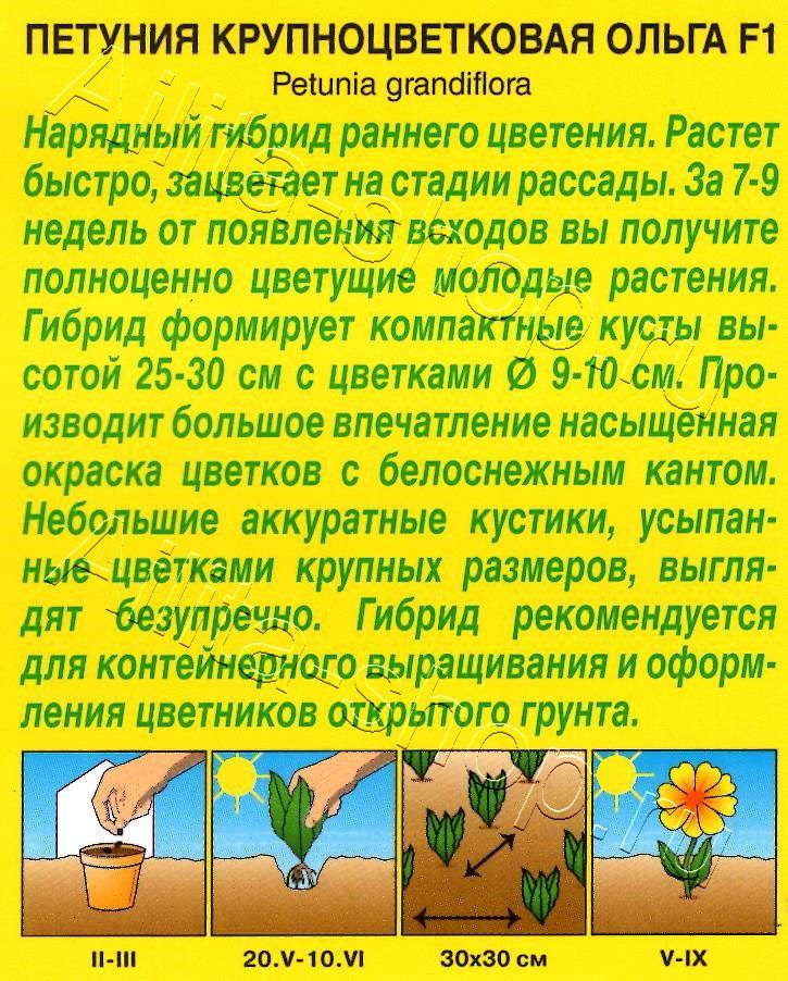 Петуния Ольга F1 крупноцветковая 10шт