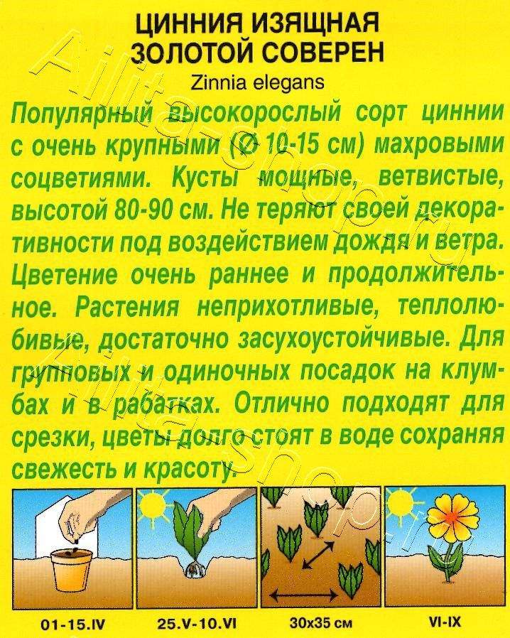 Цинния Золотой соверен 0,3г