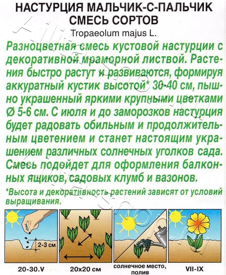 Настурция Мальчик-с-пальчик, смесь сортов 1г