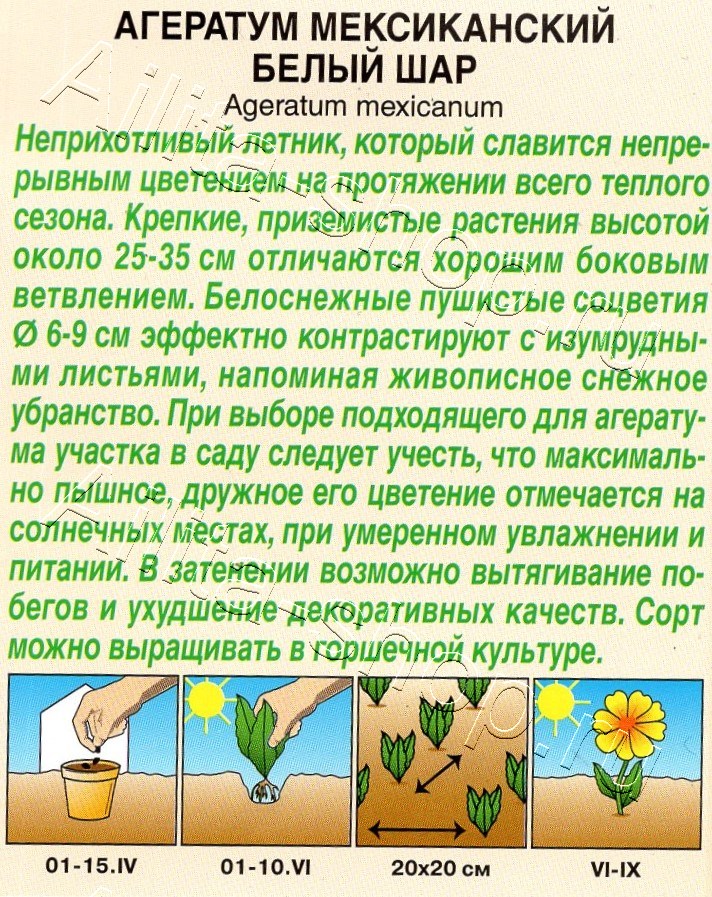 Агератум мексиканский Белый шар 0,05г