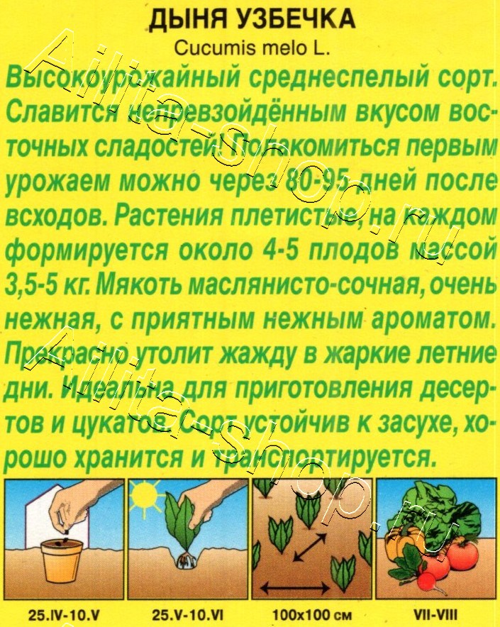 Дыня Узбечка 1г