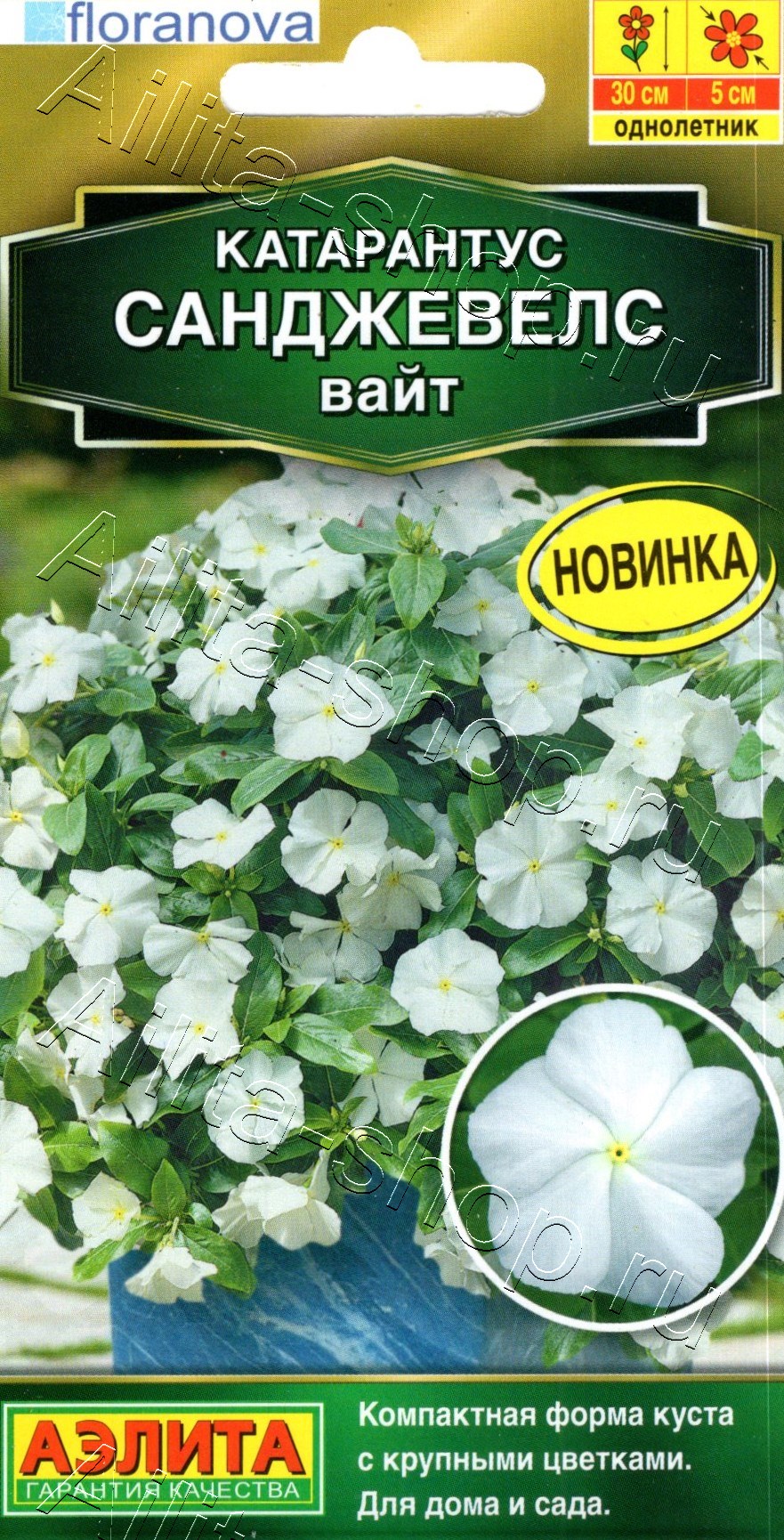 Катарантус Санджевелс вайт 7шт