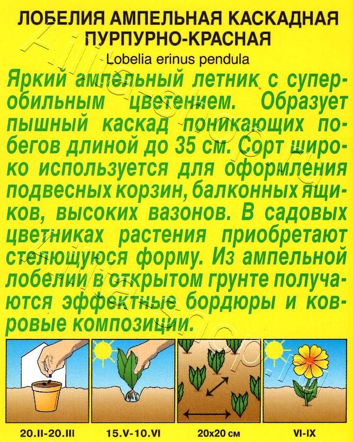 Лобелия каскадная пурпурно-красная 0,05г