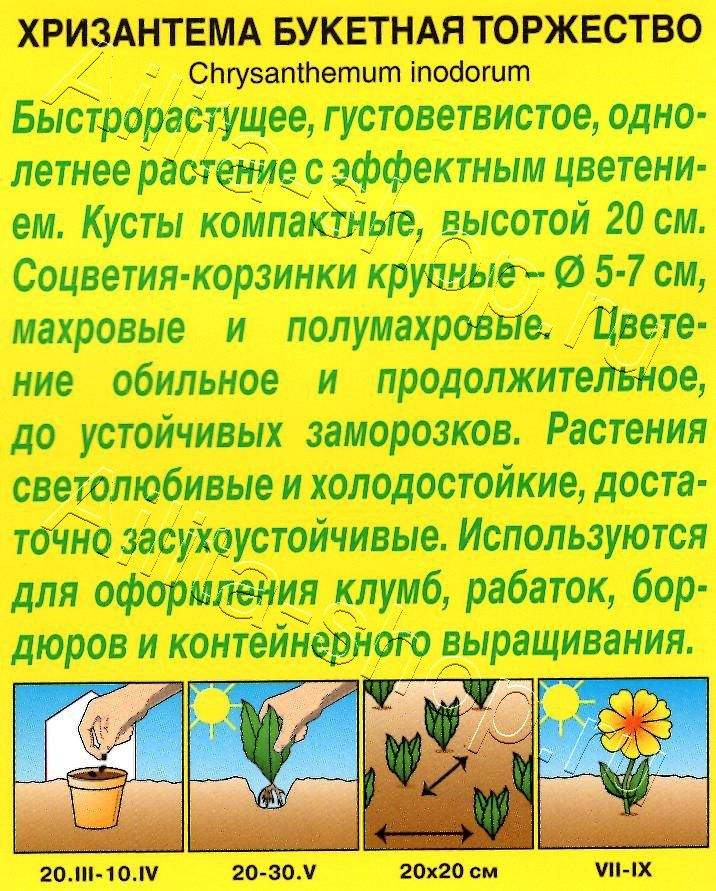 Хризантема букетная Торжество 0,1г