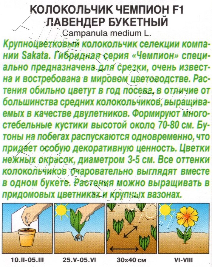 Колокольчик Чемпион F1 лавендер букетный 4шт