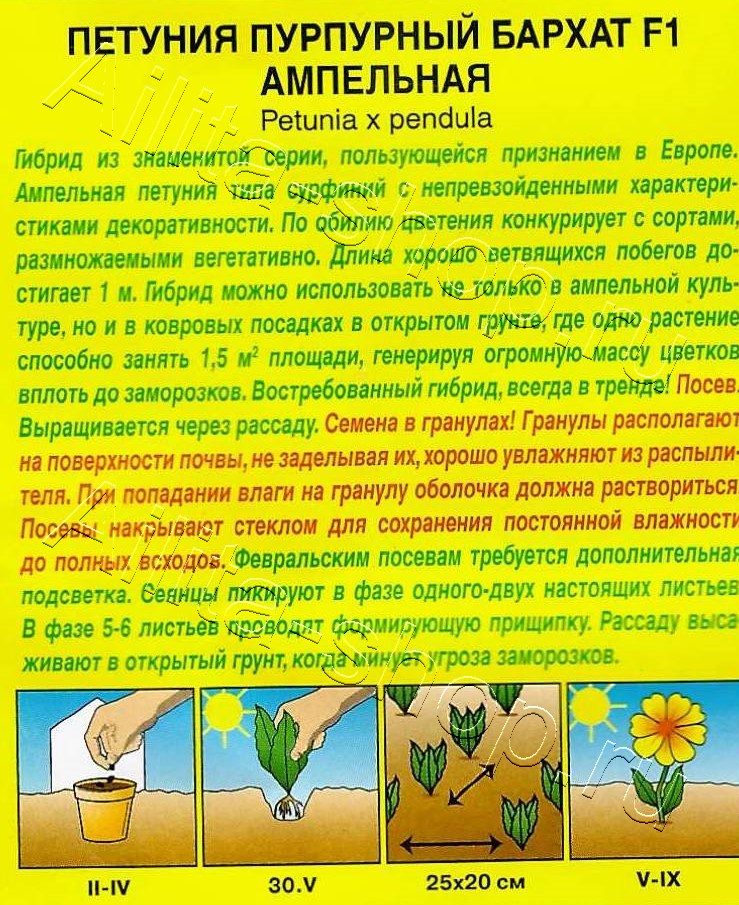 Петуния Пурпурный бархат F1 ампельная 4шт