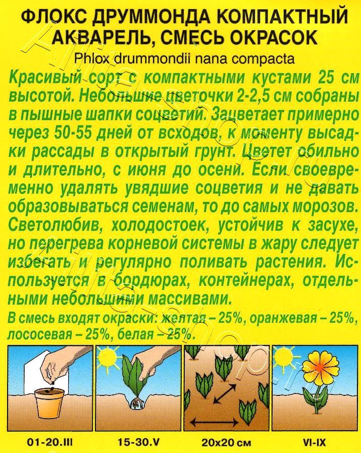 Флокс Акварель, смесь окрасок 0,1г