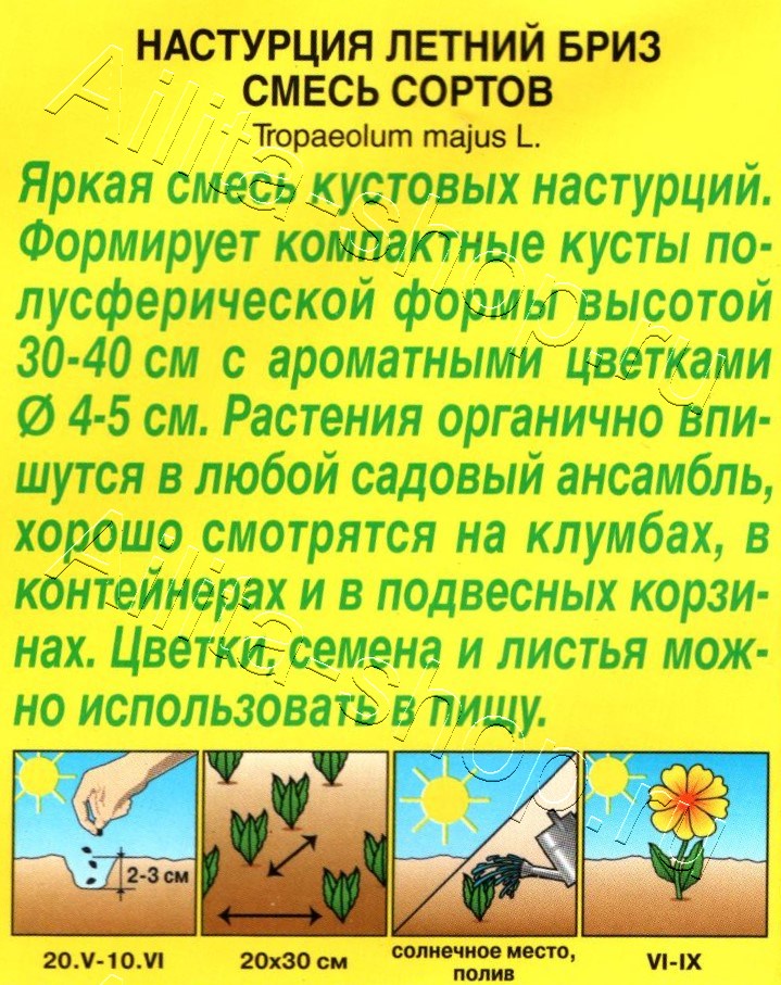 Настурция Летний бриз, смесь окрасок 1г