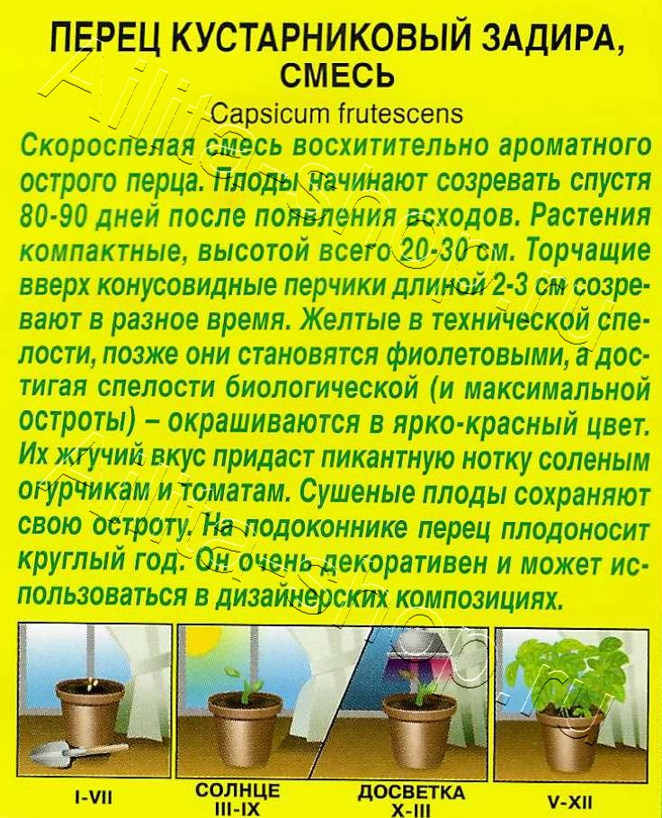 Перец кустарниковый Задира, смесь 10шт