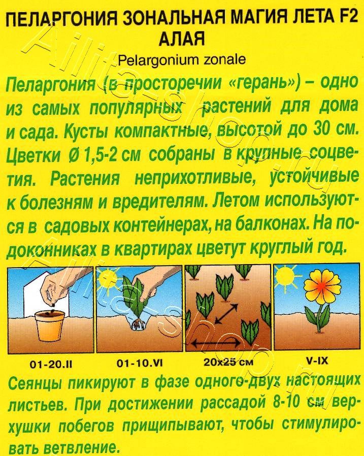 Пеларгония Магия лета F2 алая 5шт
