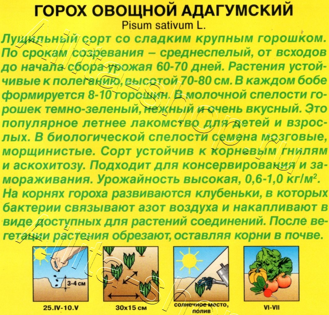 Горох овощной Адагумский 25г