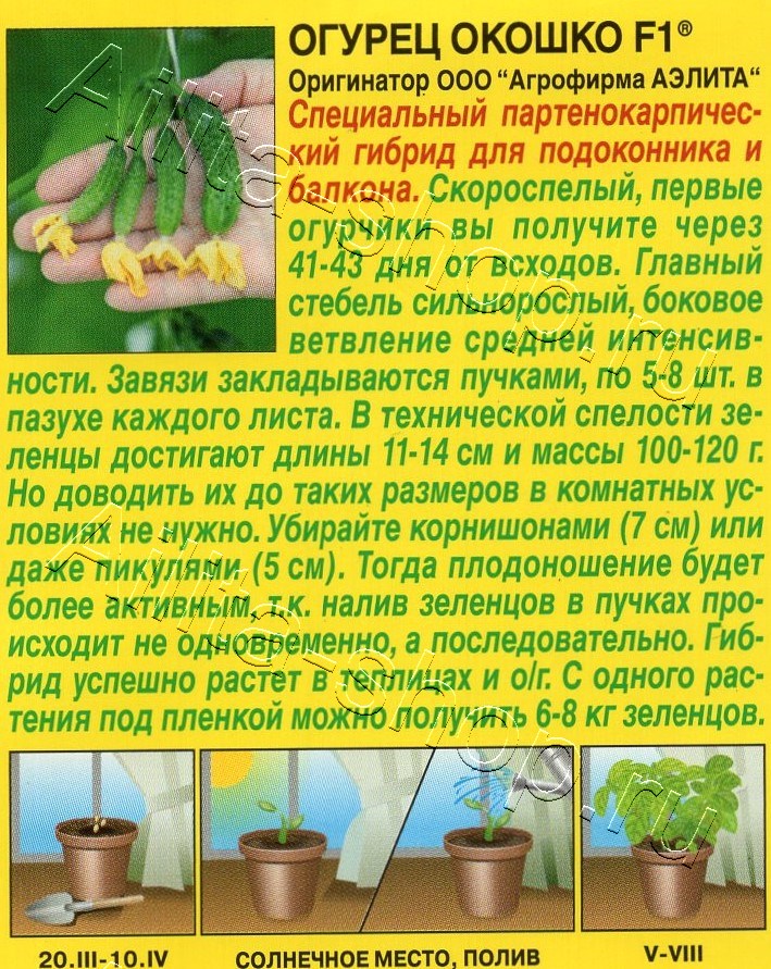 Огурец Окошко F1 10шт