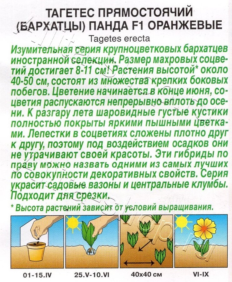 Бархатцы Панда F1 оранжевые прямостоячие 7шт