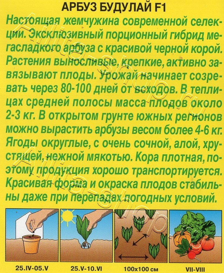 Арбуз Будулай F1 5шт