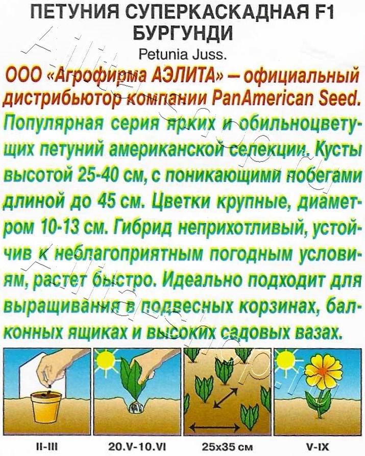 Петуния суперкаскадная F1 бургунди 7шт