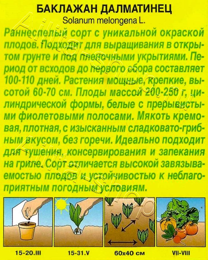 Баклажан Далматинец 0,1г