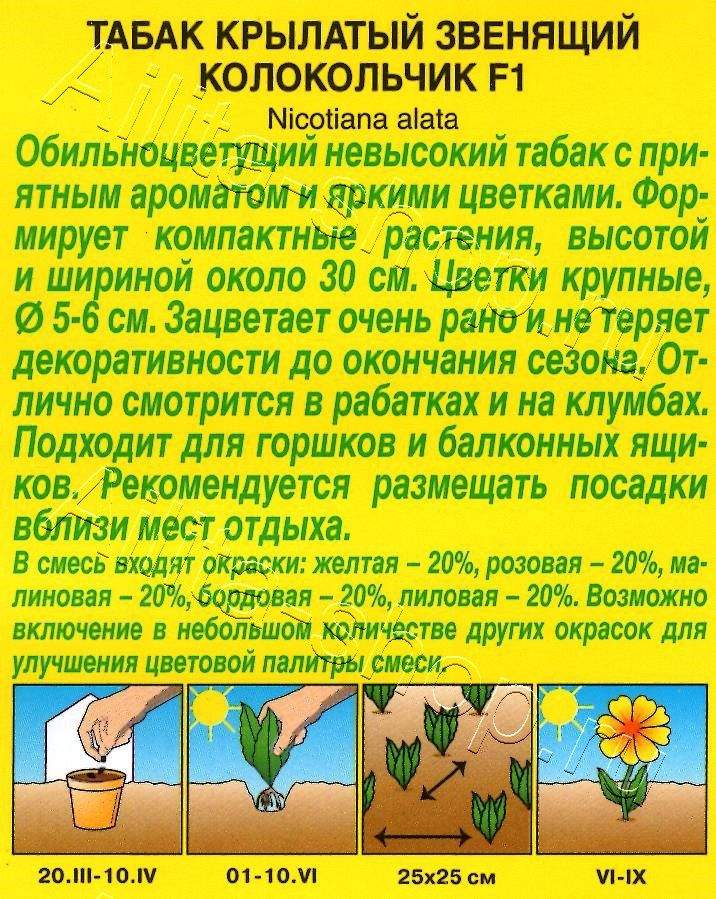 Табак Звенящий колокольчик F2, смесь окрасок 0,02г
