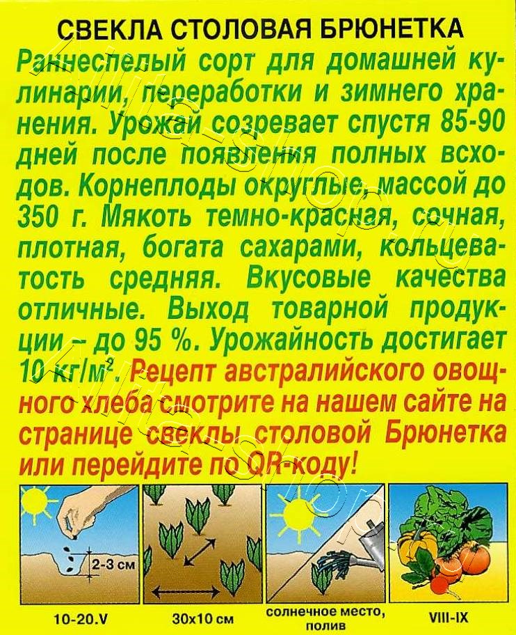 Свекла столовая Брюнетка 3г