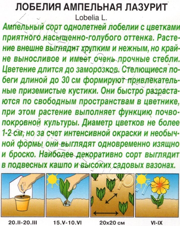 Лобелия ампельная Лазурит 0,05г