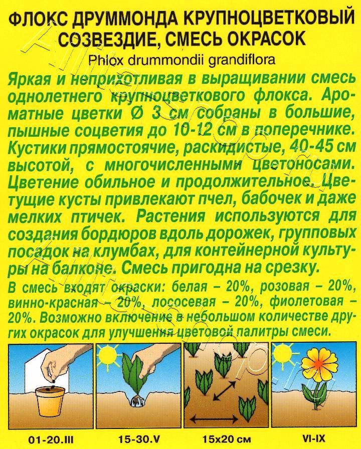 Флокс друммонда Созвездие, смесь окрасок 0,3г