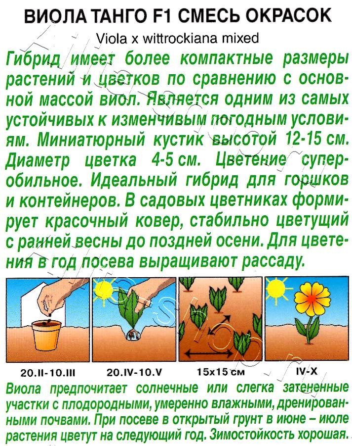 Виола Танго F1, смесь окрасок 0,04г