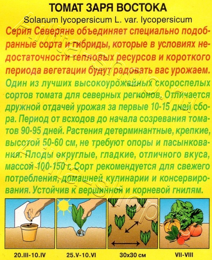 Томат Заря Востока 20шт