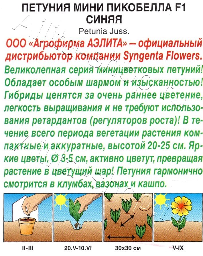 Петуния мини Пикобелла F1 синяя 5шт