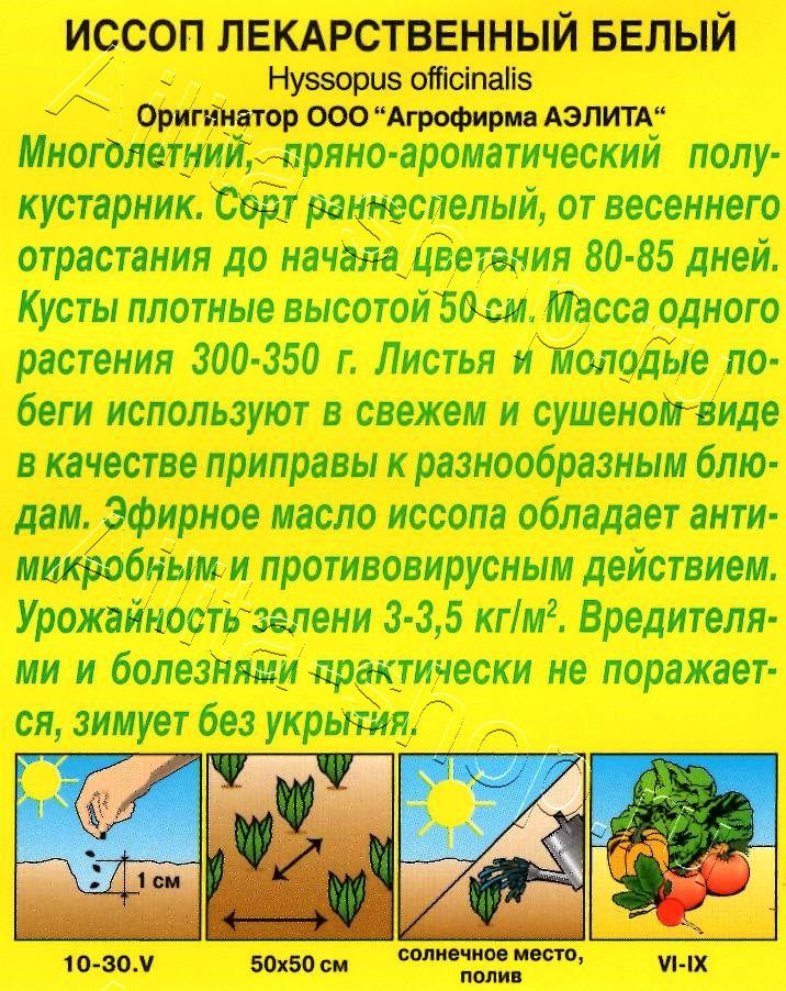 Иссоп лекарственный белый 0,1г