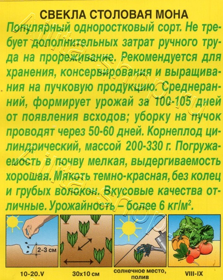 Свекла столовая Мона 3г