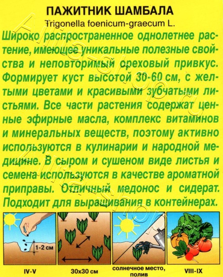 Пажитник Шамбала 1г