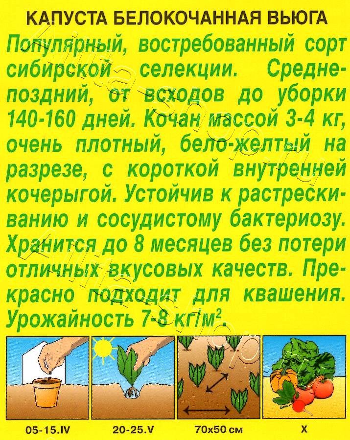 Капуста белокочанная Вьюга 0,3г