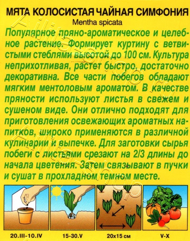 Мята колосистая Чайная симфония 0,05г