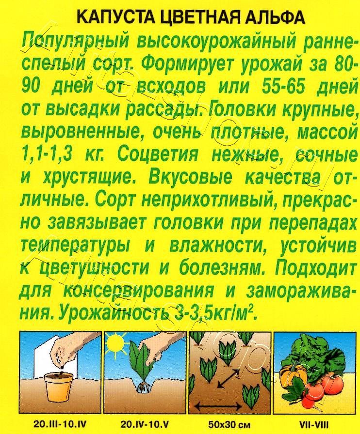 Капуста цветная Альфа 0,3г