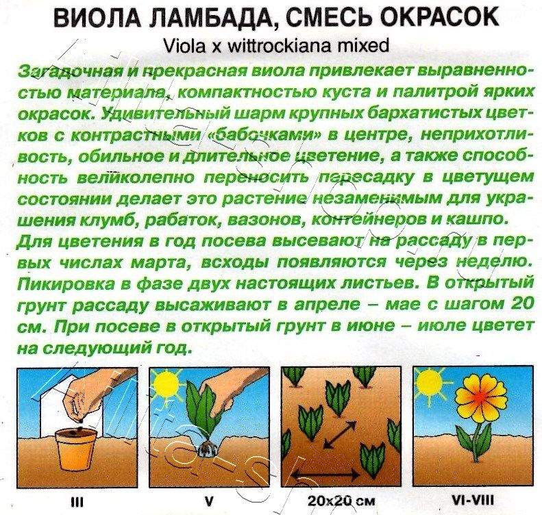 Виола Ламбада, смесь окрасок 0,1г