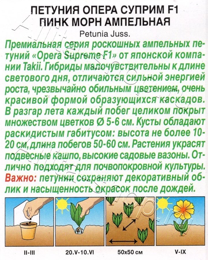 Петуния Опера суприм F1 пинк морн ампельная 4шт