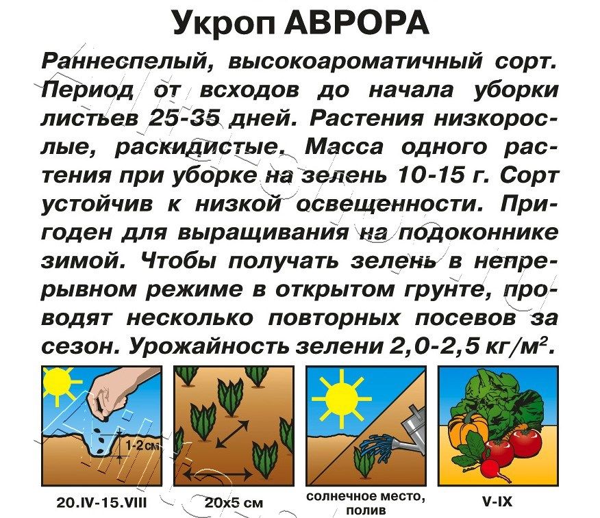 Укроп Аврора 3г