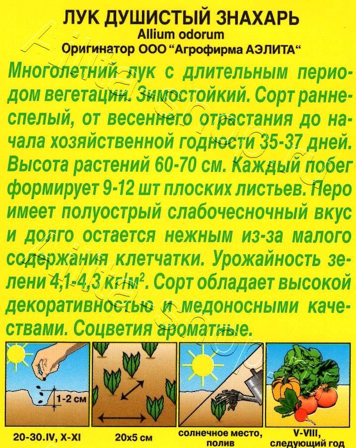 Лук душистый Знахарь 0,5г