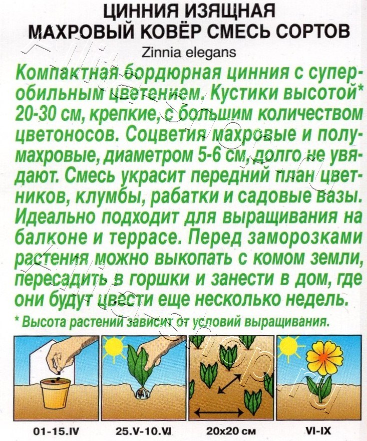 Цинния Махровый ковер, смесь сортов 0,3г