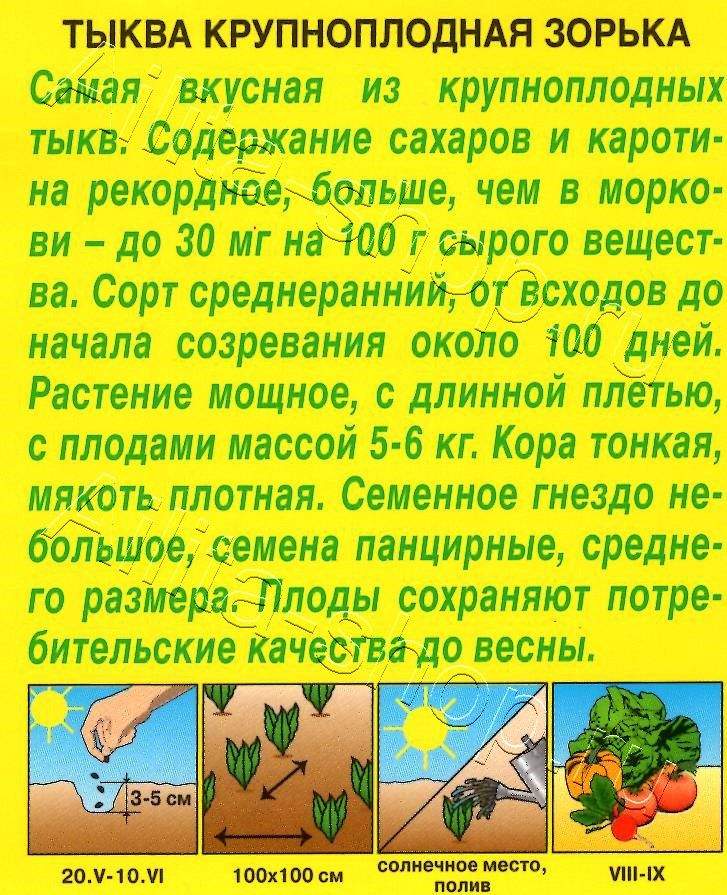 Тыква крупноплодная Зорька 2г