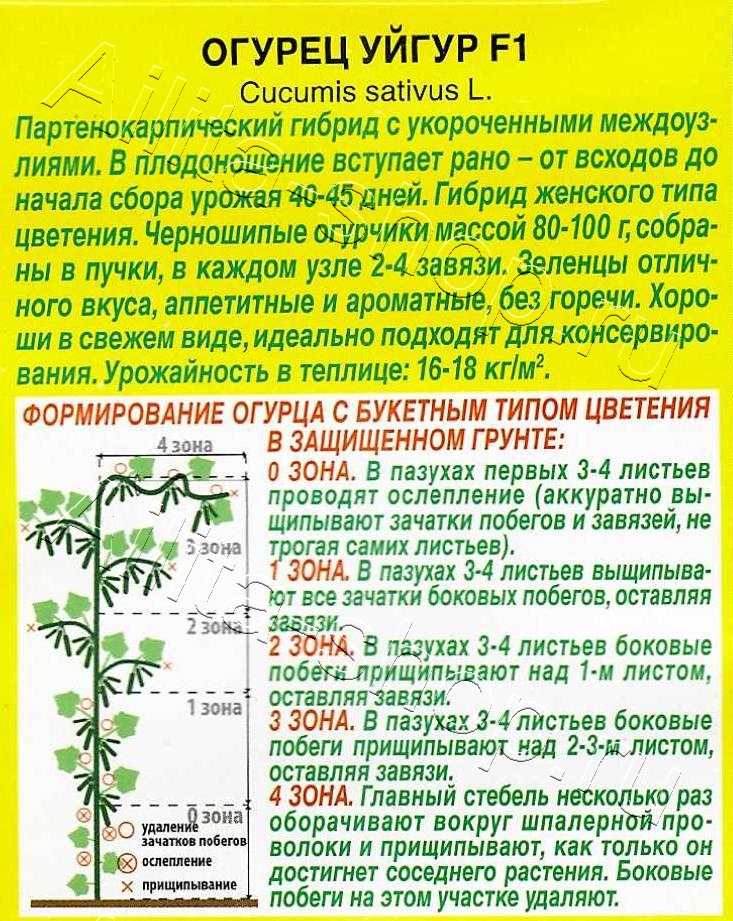 Огурец Уйгур F1 10шт